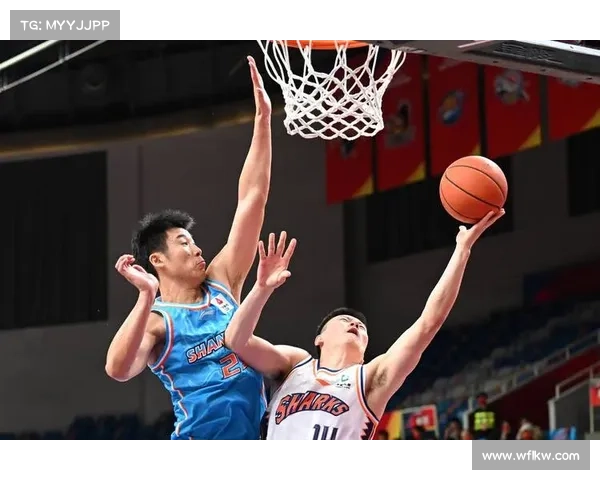 山东男篮胜利策略解析：从战术布置到球员发挥全面剖析